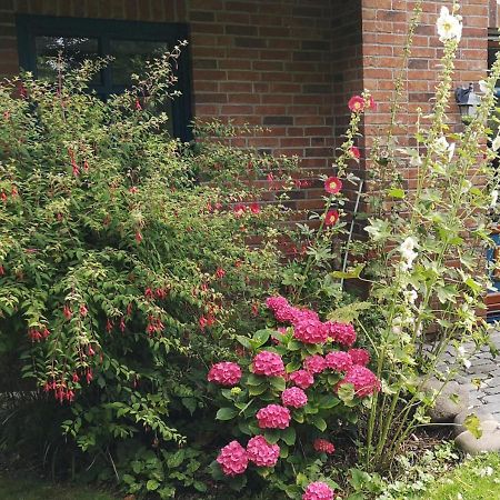 Ferienhaus Arkona Putgarten エクステリア 写真